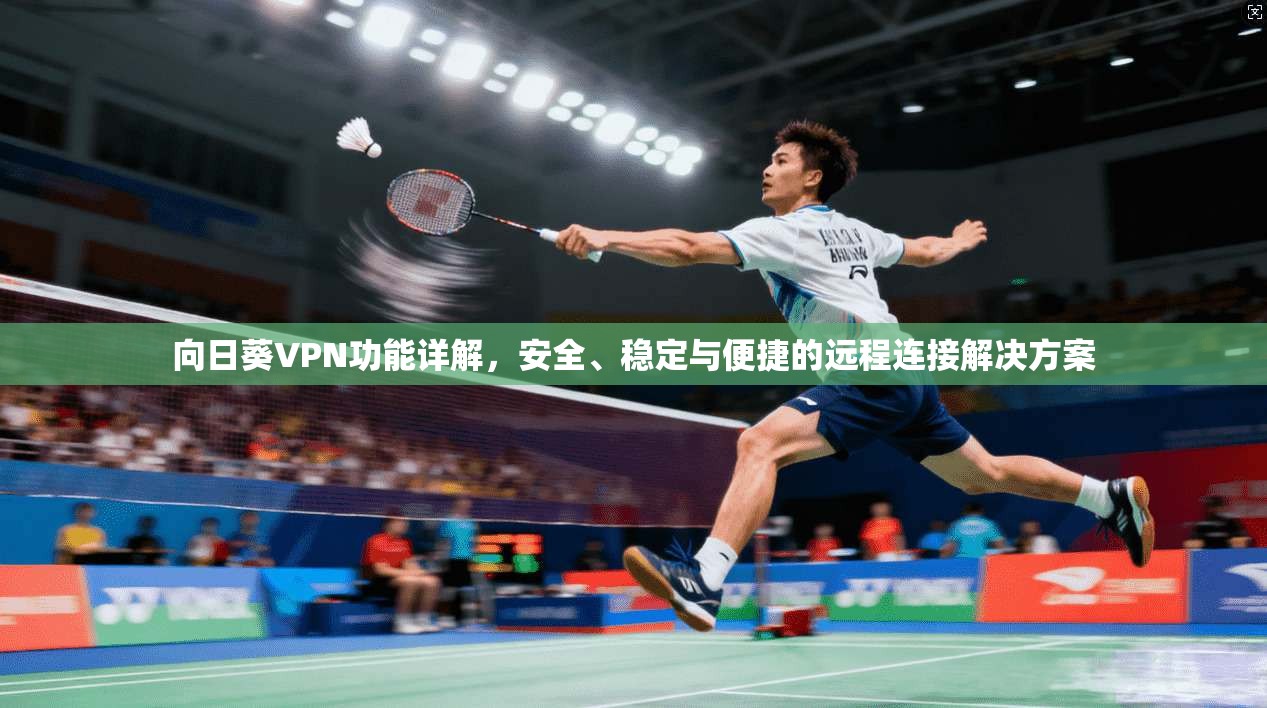 向日葵VPN功能详解,安全、稳定与便捷的远程连接解决方案