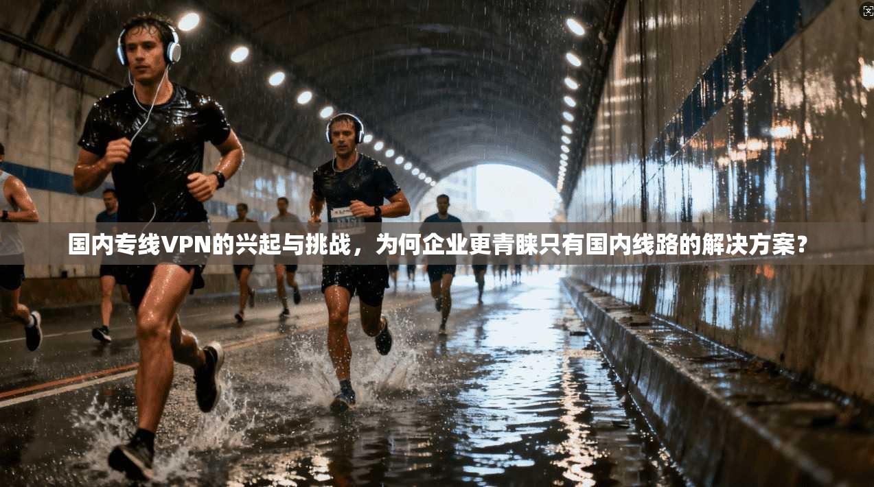 国内专线VPN的兴起与挑战,为何企业更青睐只有国内线路的解决方案?