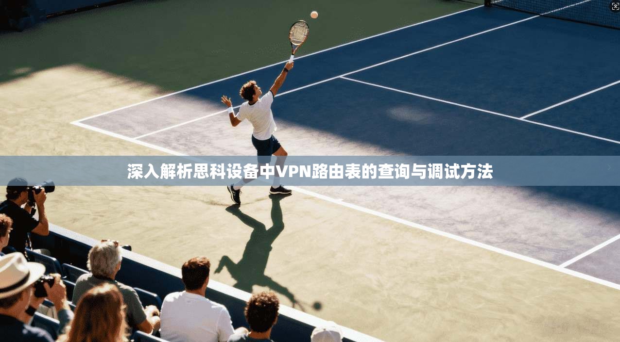 深入解析思科设备中VPN路由表的查询与调试方法