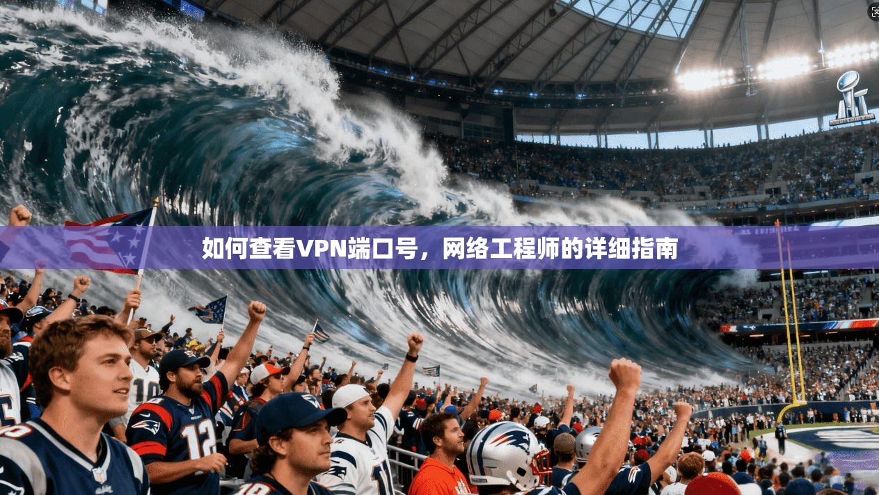 如何查看VPN端口号,网络工程师的详细指南