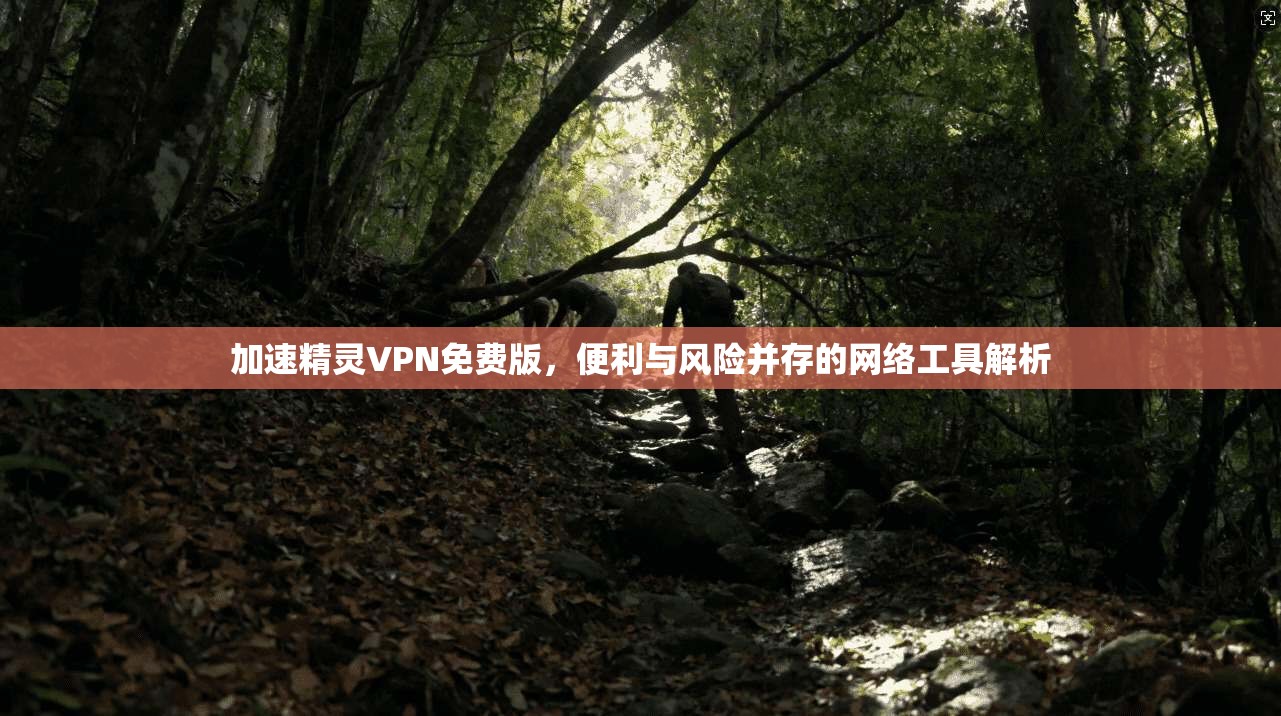 加速精灵VPN免费版,便利与风险并存的网络工具解析