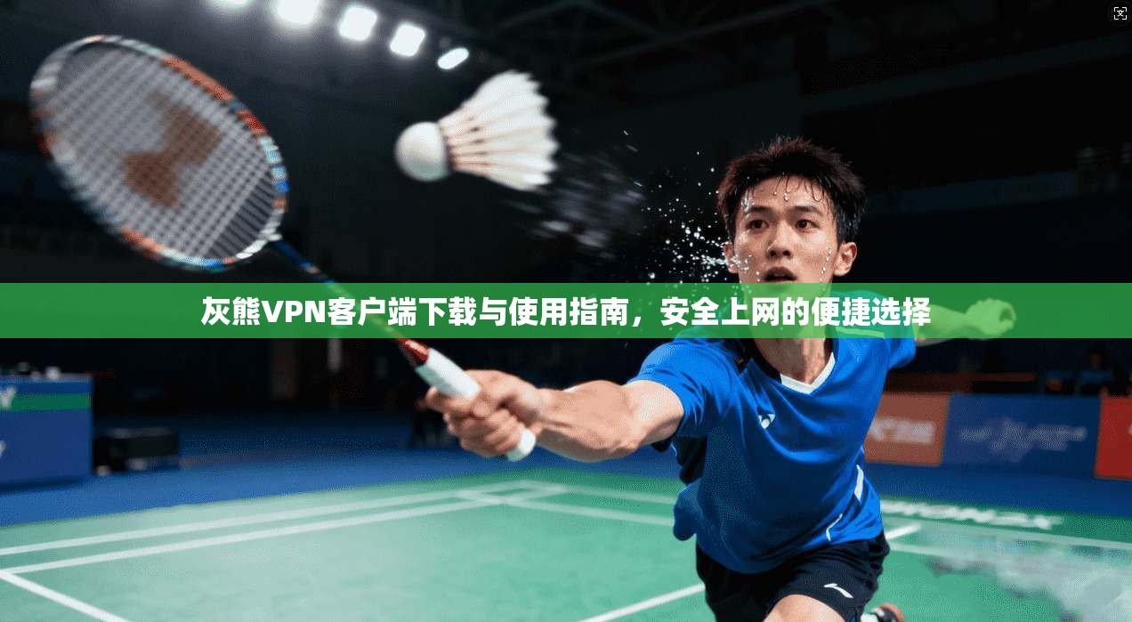 灰熊VPN客户端下载与使用指南，安全上网的便捷选择