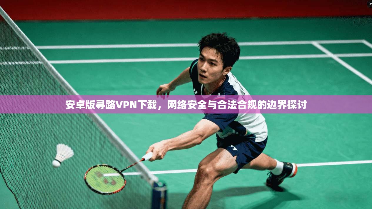 安卓版寻路VPN下载,网络安全与合法合规的边界探讨