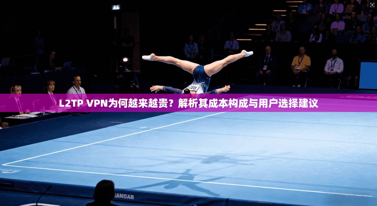 L2TP VPN为何越来越贵?解析其成本构成与用户选择建议