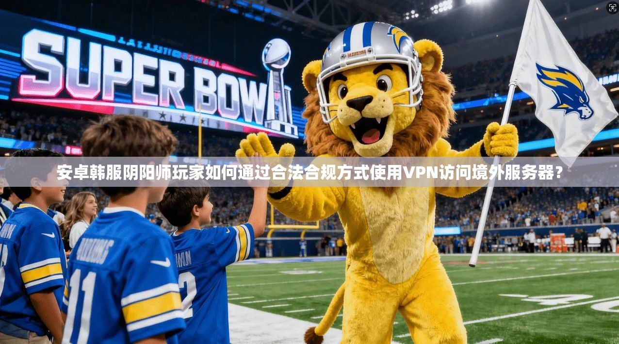 安卓韩服阴阳师玩家如何通过合法合规方式使用VPN访问境外服务器?