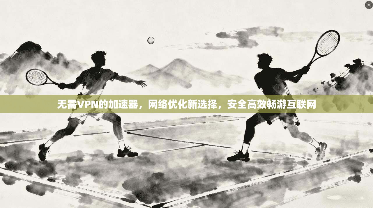 无需VPN的加速器，网络优化新选择，安全高效畅游互联网