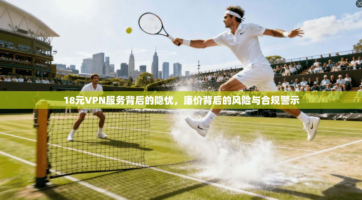 18元VPN服务背后的隐忧，廉价背后的风险与合规警示