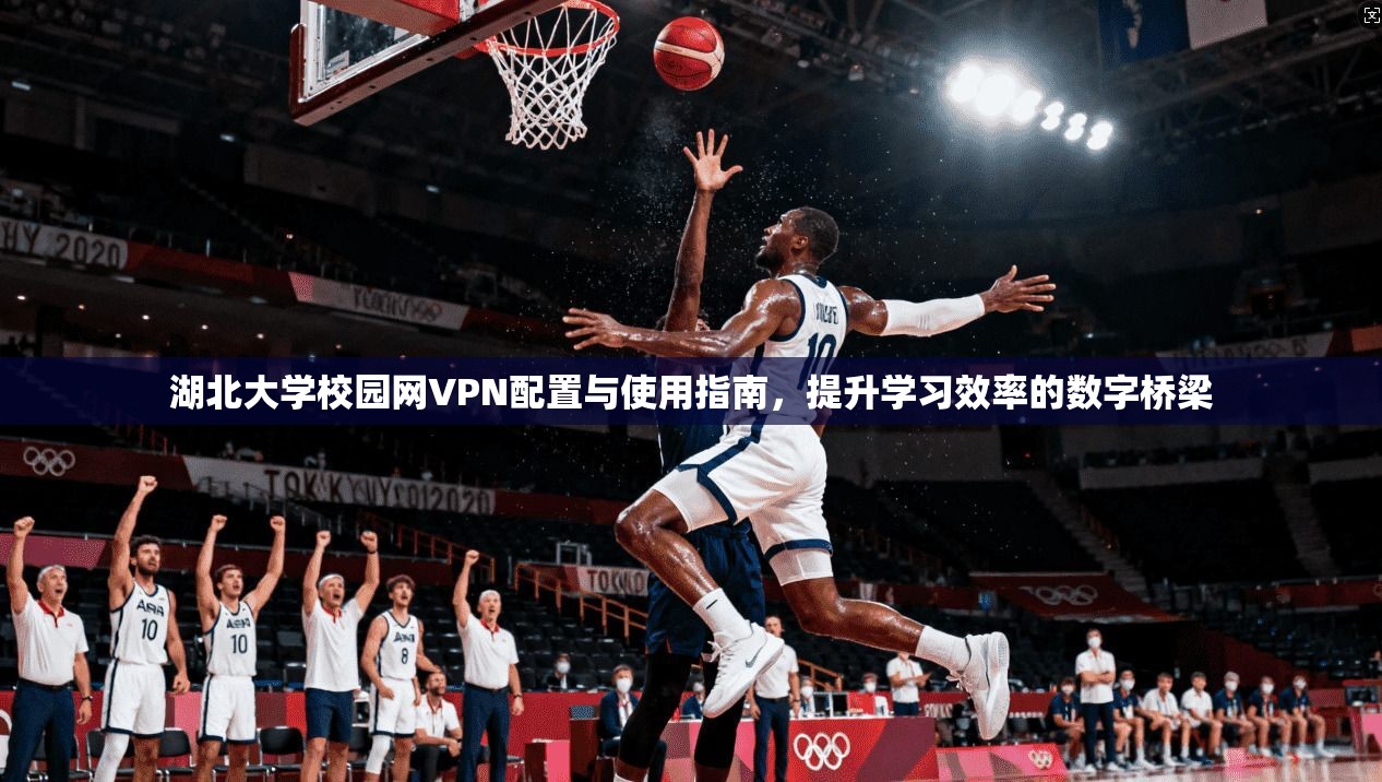 湖北大学校园网VPN配置与使用指南，提升学习效率的数字桥梁