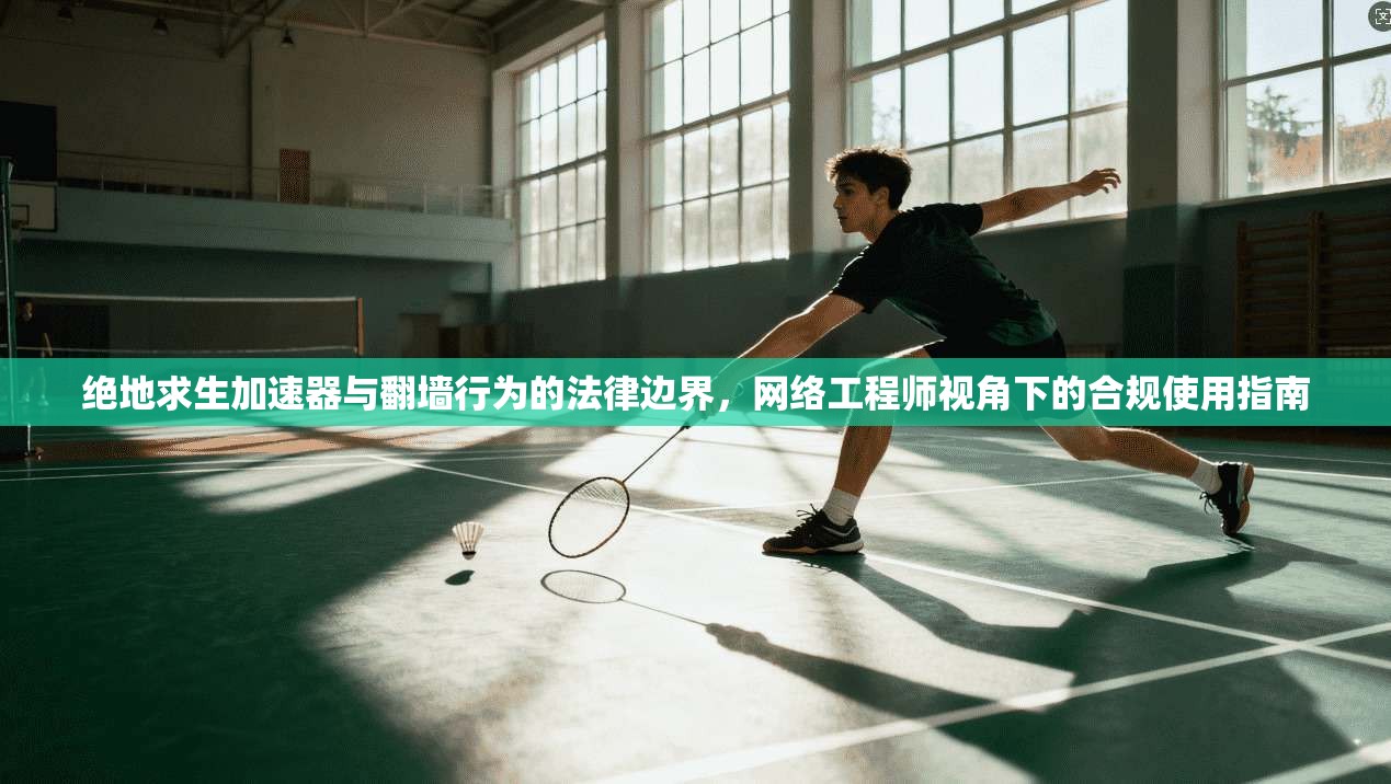 绝地求生加速器与翻墙行为的法律边界,网络工程师视角下的合规使用指南