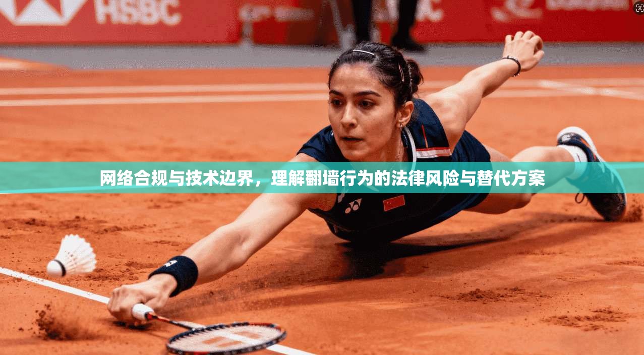 网络合规与技术边界,理解翻墙行为的法律风险与替代方案