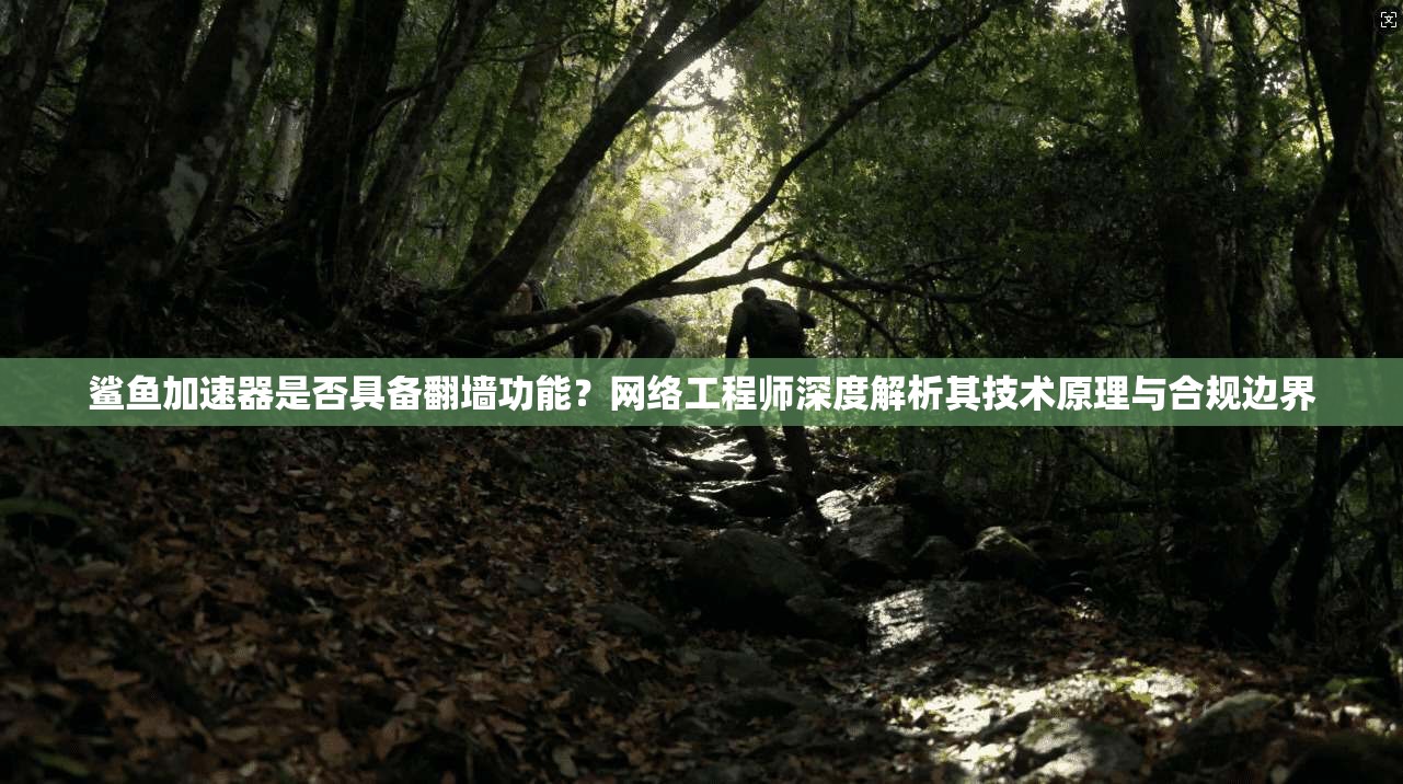 鲨鱼加速器是否具备翻墙功能？网络工程师深度解析其技术原理与合规边界