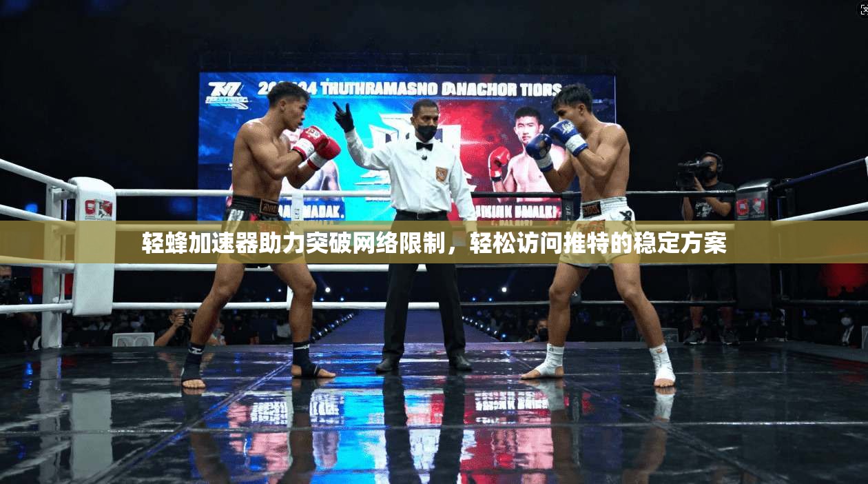 轻蜂加速器助力突破网络限制,轻松访问推特的稳定方案