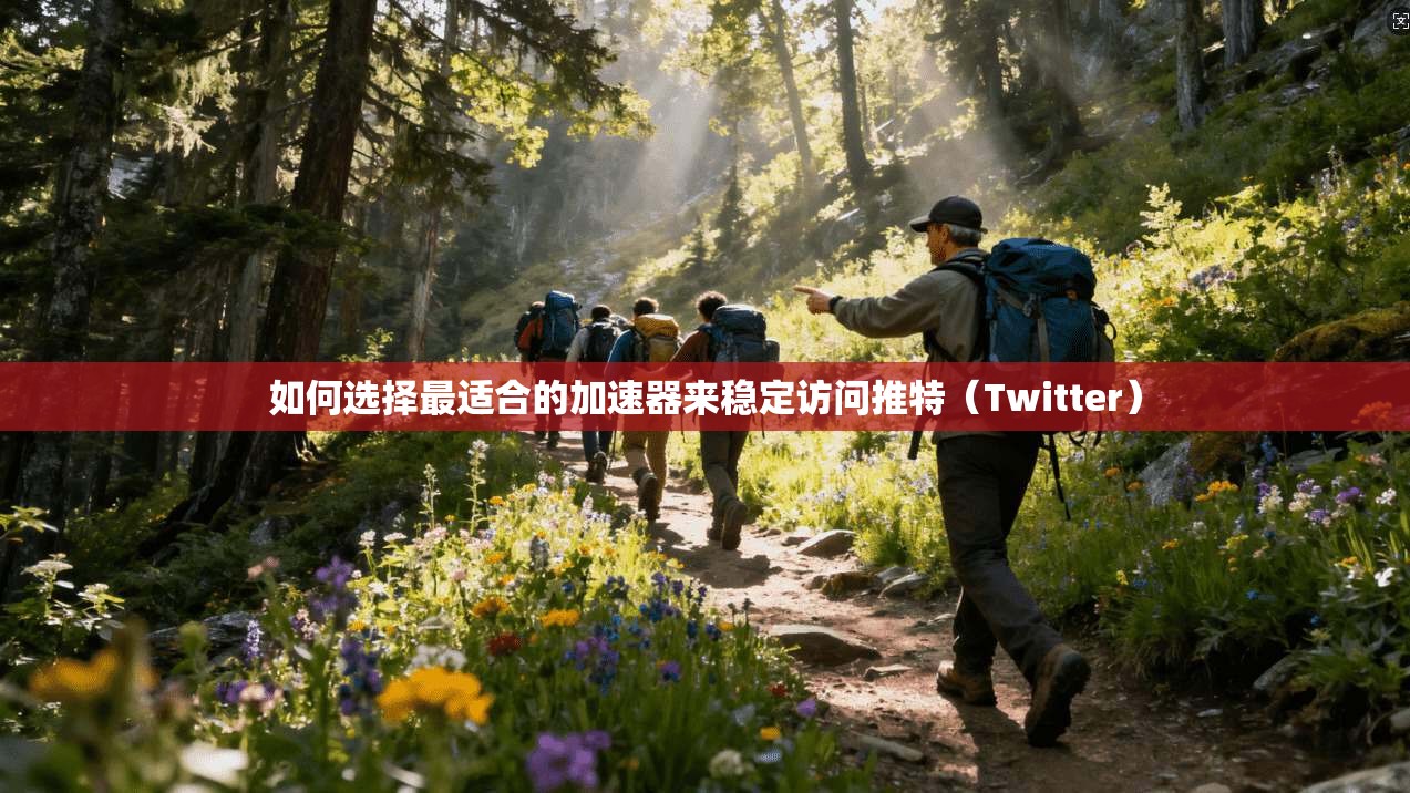 如何选择最适合的加速器来稳定访问推特(Twitter)