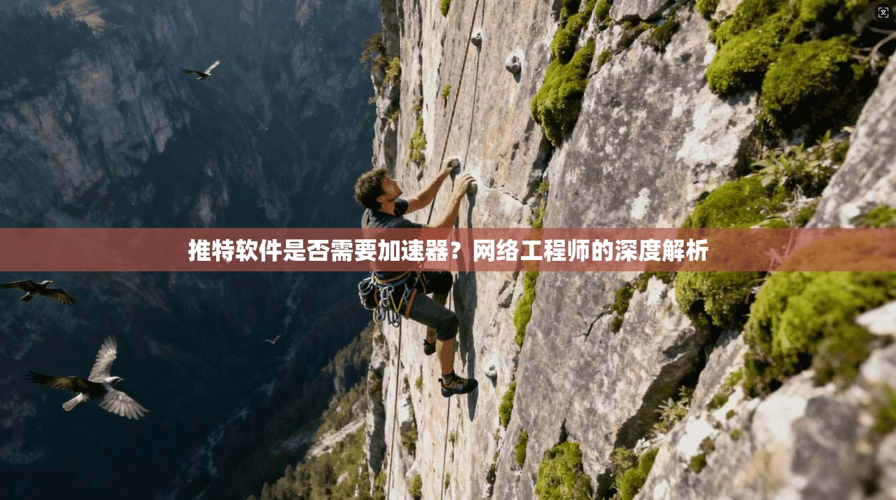 推特软件是否需要加速器？网络工程师的深度解析