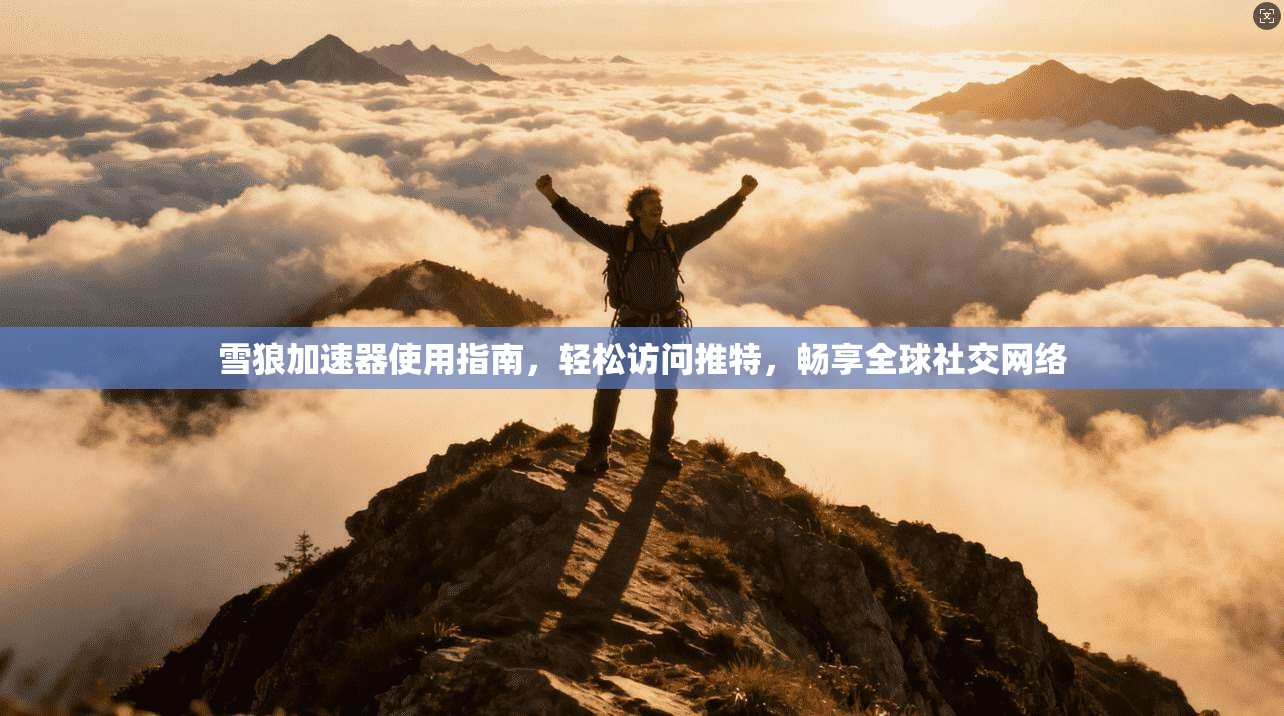 雪狼加速器使用指南，轻松访问推特，畅享全球社交网络