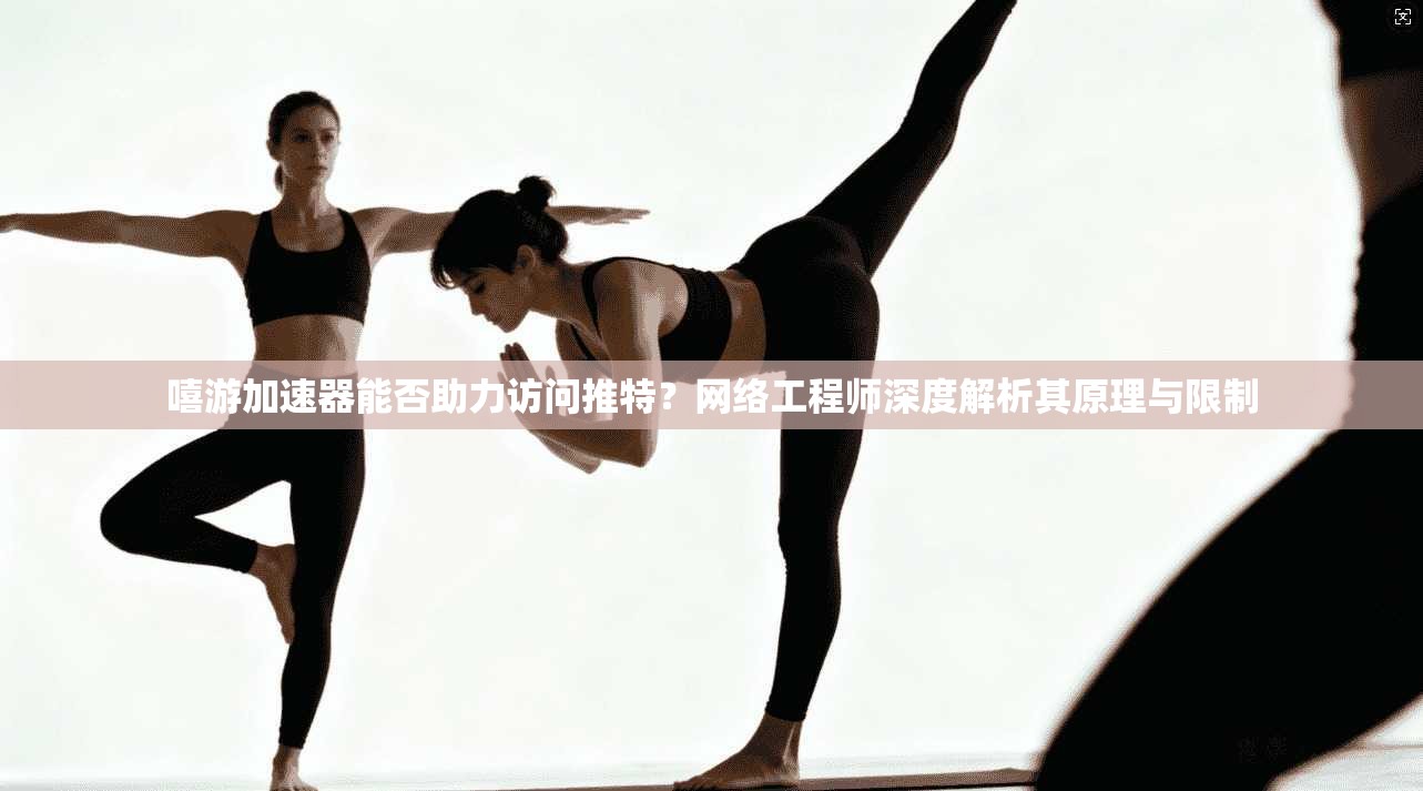 嘻游加速器能否助力访问推特？网络工程师深度解析其原理与限制