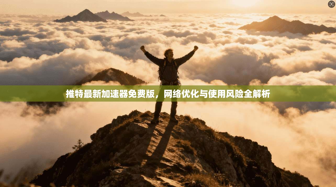 推特最新加速器免费版,网络优化与使用风险全解析