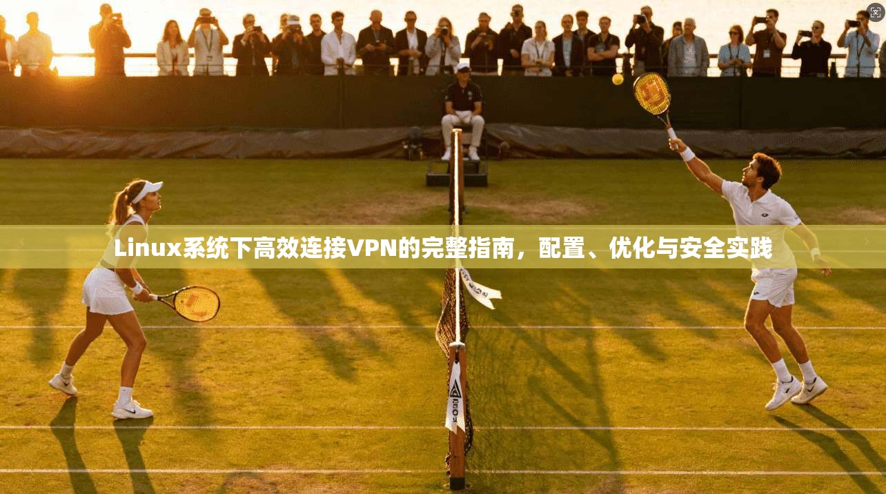 Linux系统下高效连接VPN的完整指南,配置、优化与安全实践