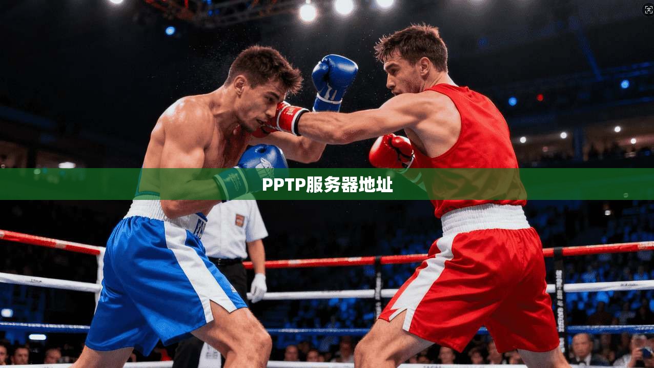 PPTP服务器地址
