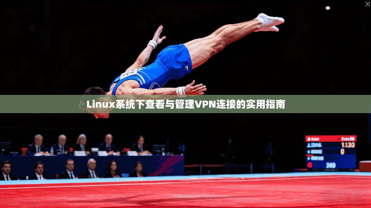 Linux系统下查看与管理VPN连接的实用指南
