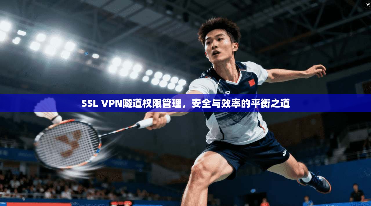 SSL VPN隧道权限管理，安全与效率的平衡之道