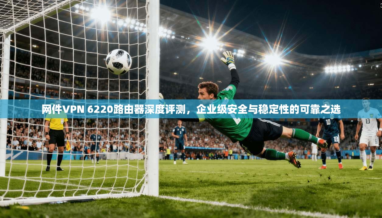 网件VPN 6220路由器深度评测,企业级安全与稳定性的可靠之选