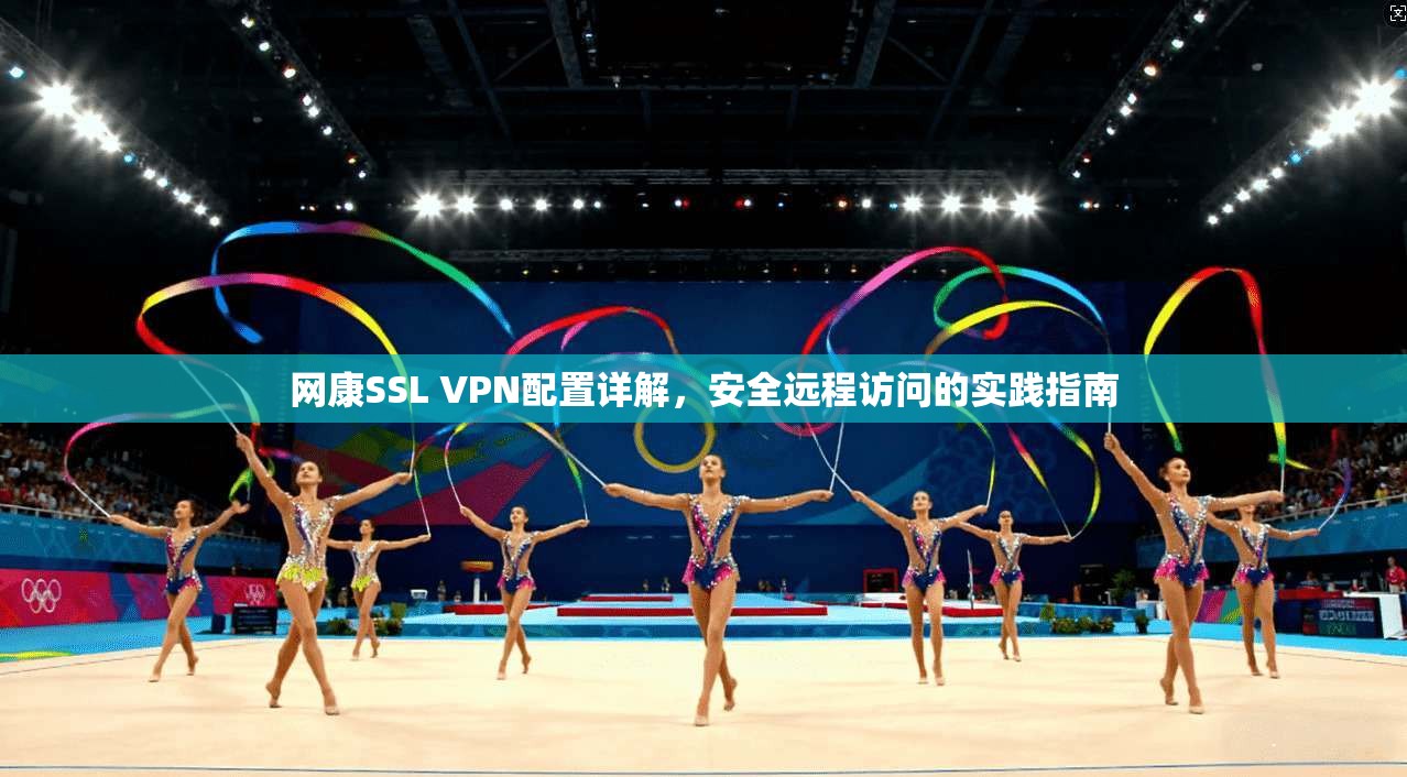 网康SSL VPN配置详解,安全远程访问的实践指南