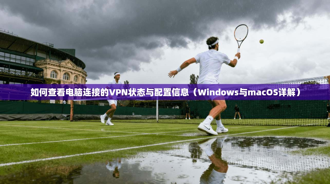 如何查看电脑连接的VPN状态与配置信息(Windows与macOS详解)