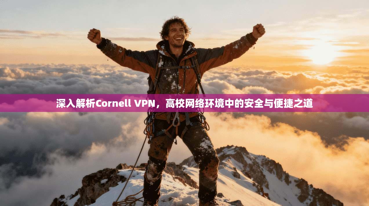 深入解析Cornell VPN,高校网络环境中的安全与便捷之道
