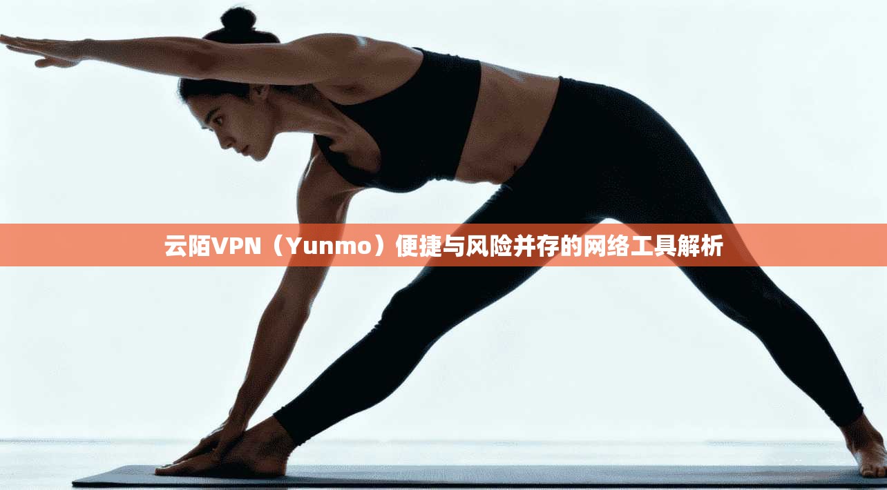 云陌VPN（Yunmo）便捷与风险并存的网络工具解析