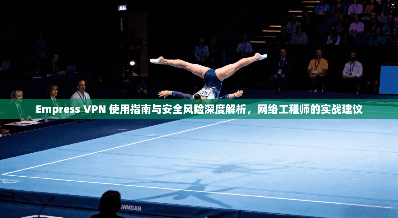 Empress VPN 使用指南与安全风险深度解析，网络工程师的实战建议