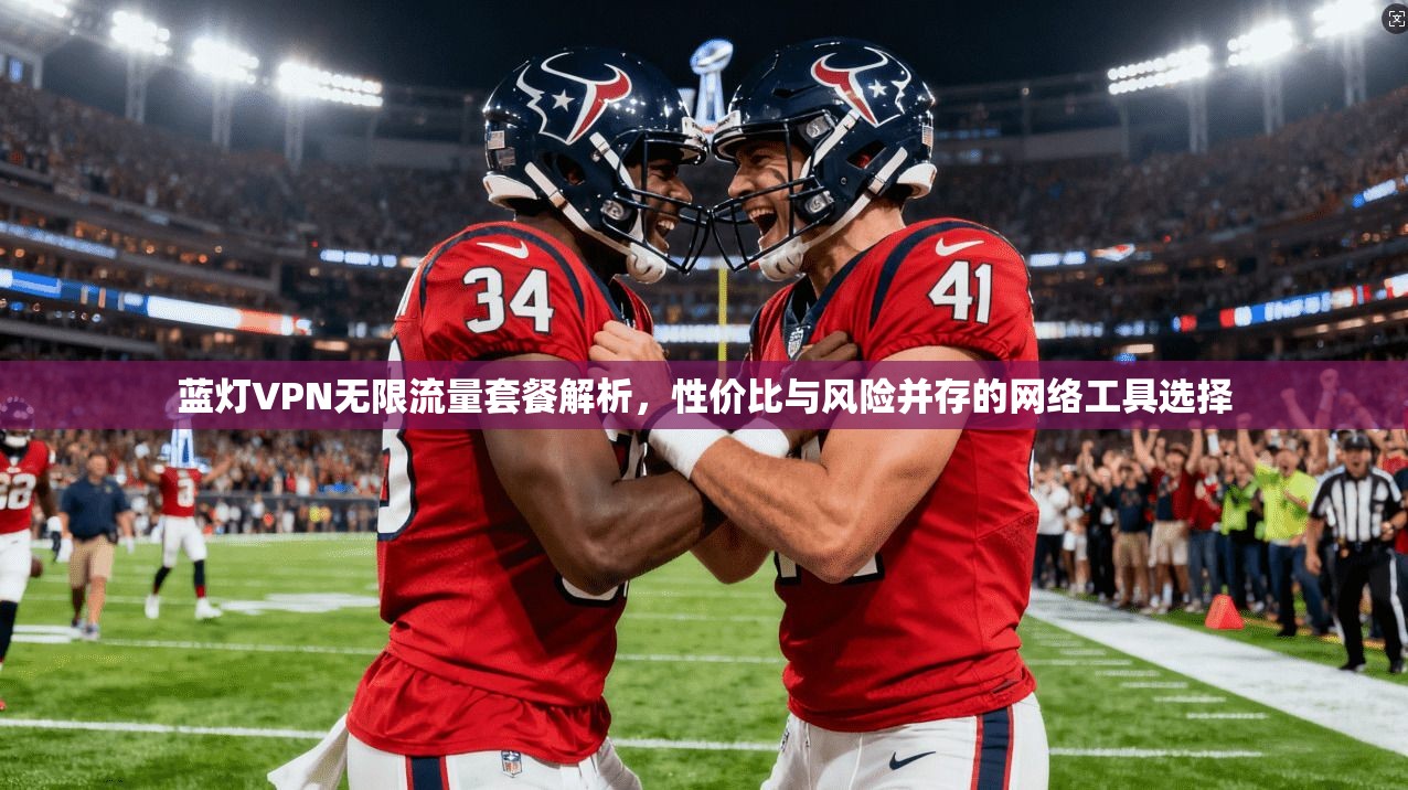 蓝灯VPN无限流量套餐解析，性价比与风险并存的网络工具选择